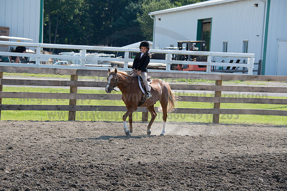 2016DCF_08242016_SCL_8685