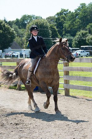 2016DCF_08242016_SCL_9202