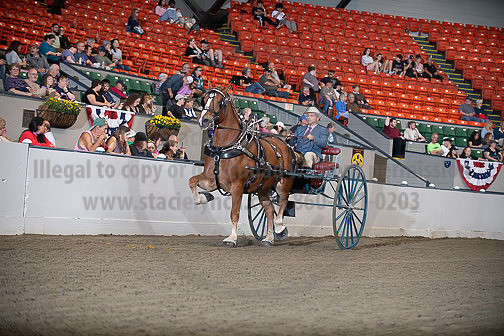 BigE_10012026_SCL4403
