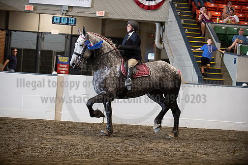 BigE_10022026_SCL5576