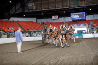 BigE_10022026_SCL4962