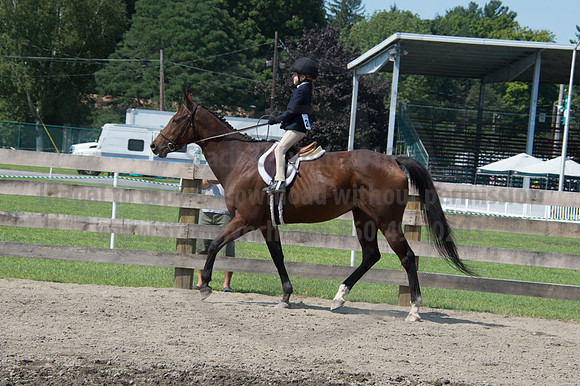 2016DCF_08242016_SCL_8770