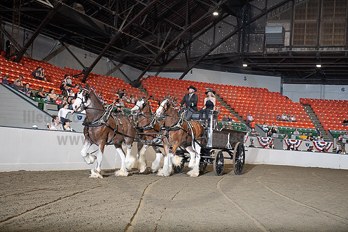 BigE_10012026_SCL4704