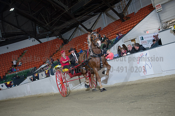 NABC8_10152016_SCL_0398