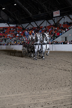 BigE_20221002-SCL_5068