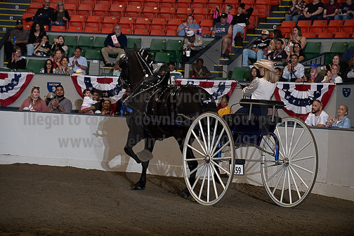 BigE_10032026_SCL6500
