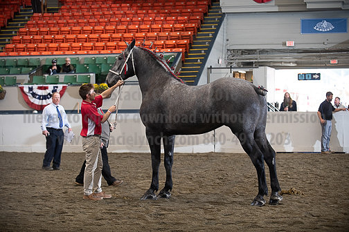 BigE_10012026_SCL4139