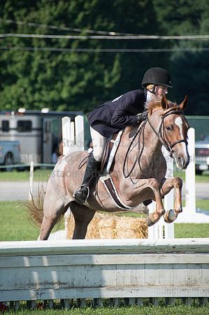 2016DCF_08262016_SCL_0186