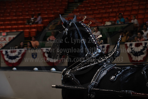 BigE_10022026_SCL5320