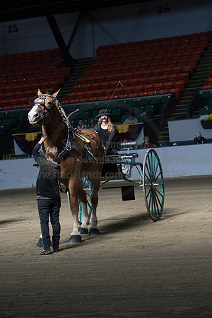 NABC8_10152016_SCL_0413