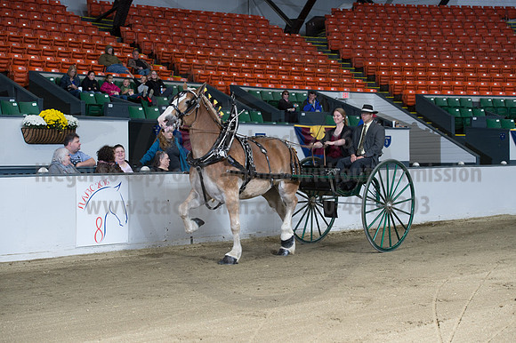 NABC8_10152016_SCL_0451