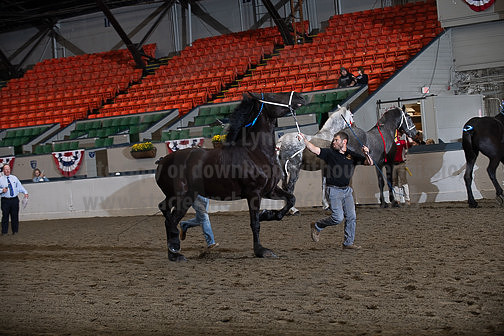 BigE_10012026_SCL4166