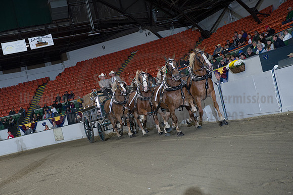 NABC8_10142016_SCL_8547