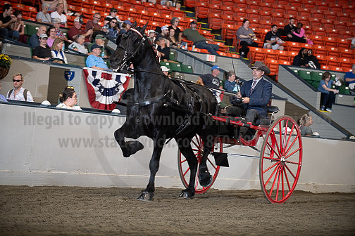 BigE_10012026_SCL4310