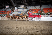BigE_10012026_SCL4661