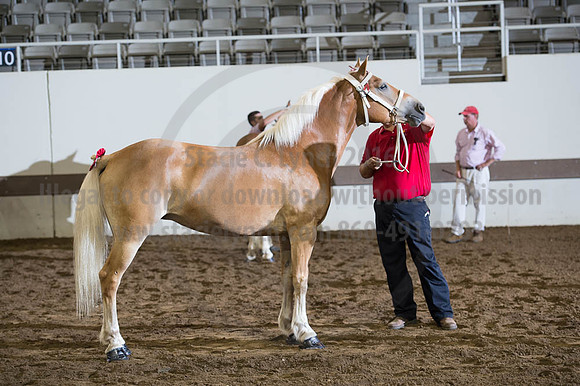 ISF_08192016_SCL_4146