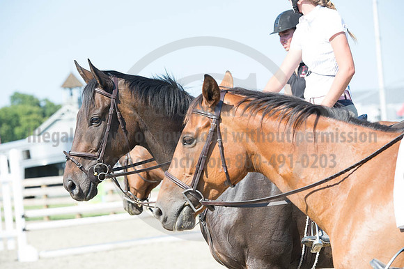 2016DCF_08262016_SCL_0809
