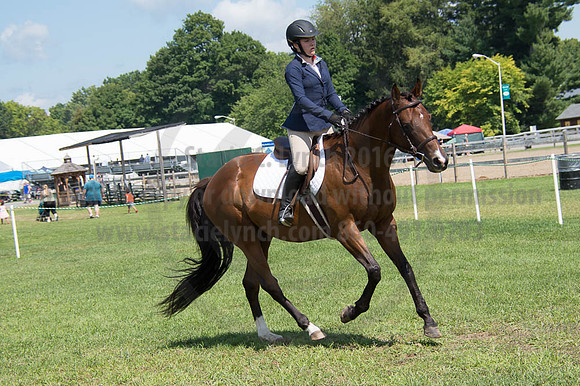 2016DCF_08262016_SCL_0497