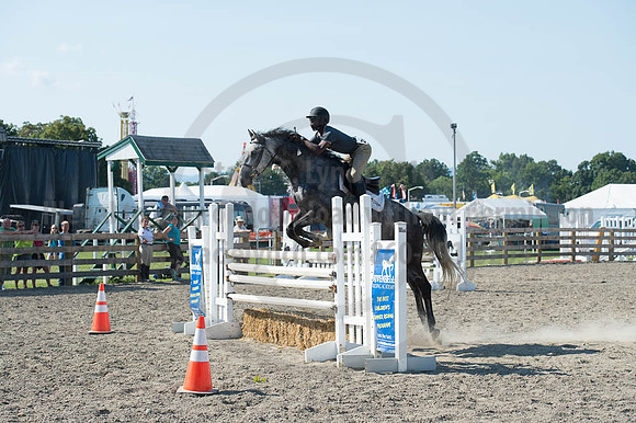 2016DCF_08262016_SCL_0819