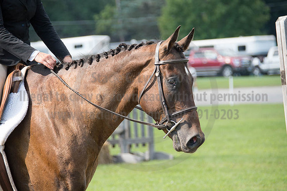 2016DCF_08262016_SCL_0259