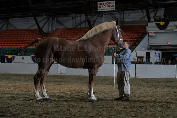 NABC8_10152016_SCL_1842