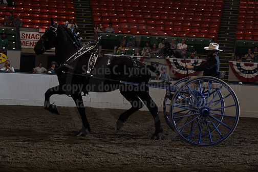 BigE_10022026_SCL5487