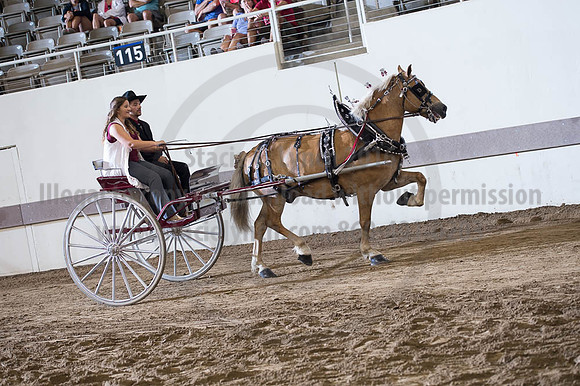 ISF_08182016_SCL_3510