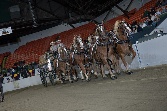 NABC8_10142016_SCL_8557