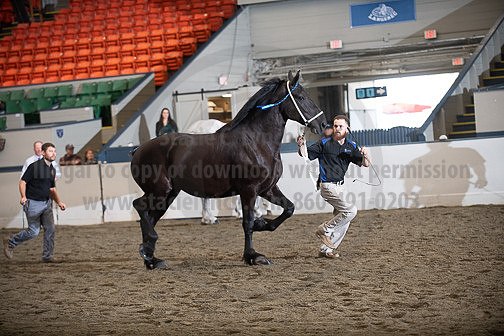 BigE_10012026_SCL4112