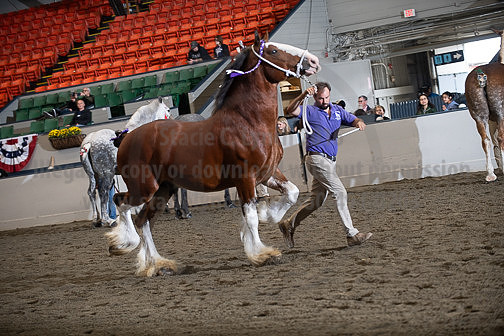 BigE_10012026_SCL4195