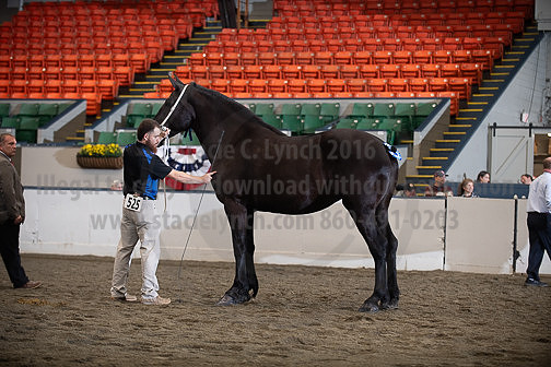 BigE_10012026_SCL4117