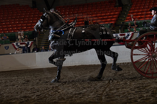 BigE_10022026_SCL5557
