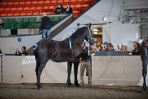 BigE_10012026_SCL4179