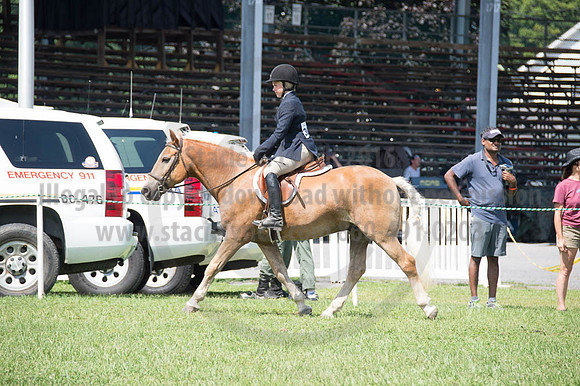 2016DCF_08262016_SCL_0467
