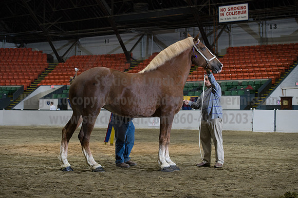 NABC8_10152016_SCL_1857