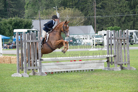 2016DCF_08262016_SCL_0373