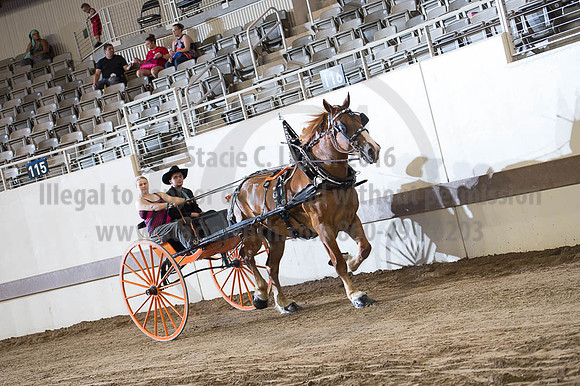 ISF_08202016_SCL_7761