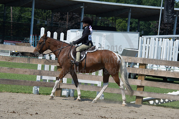 2016DCF_08242016_SCL_8772