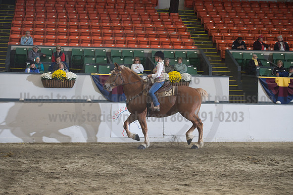 NABC8_10142016_SCL_8337