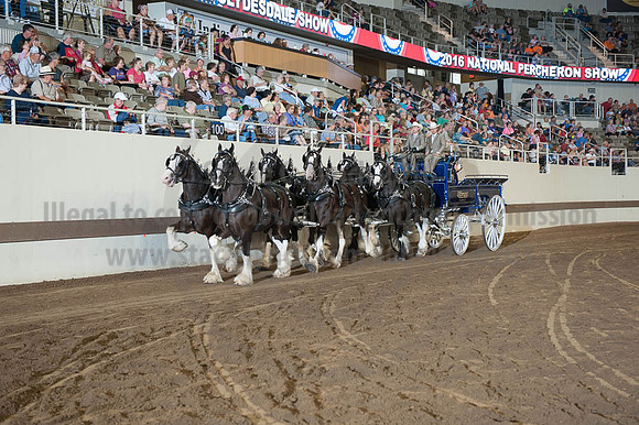 ISF_08162016_SCL_2221