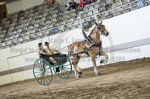ISF_08202016_SCL_7821