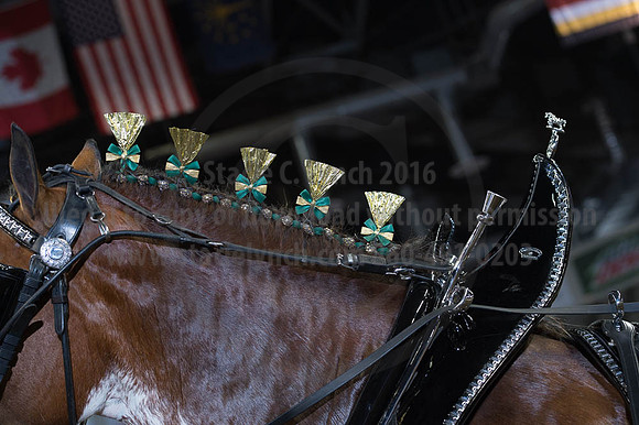 ISF_08162016_SCL_2693
