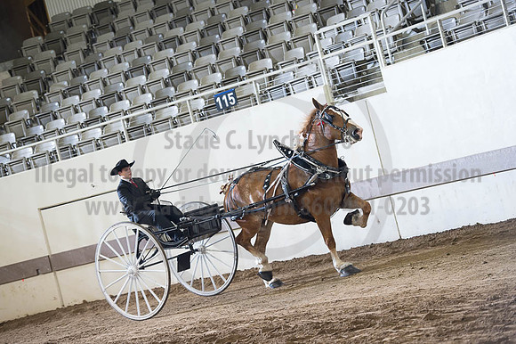 ISF_08202016_SCL_7841