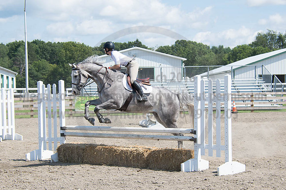2016DCF_08262016_SCL_0688