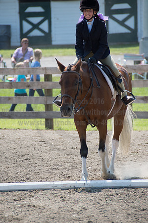 2016DCF_08242016_SCL_8840