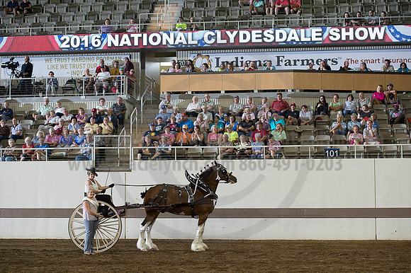 ISF_08162016_SCL_2694