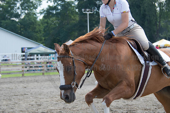 2016DCF_08262016_SCL_0444