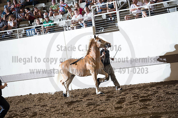 ISF_08192016_SCL_5759