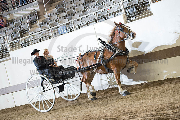 ISF_08202016_SCL_7824