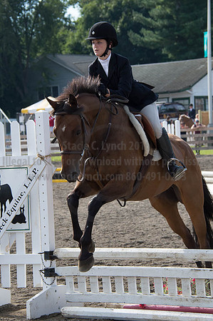 2016DCF_08252016_SCL_9630
